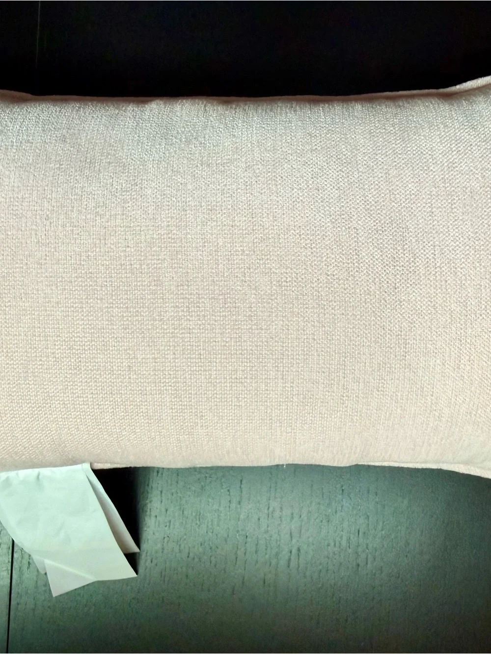 NEW buy me books and tell me I’m pretty needpoint book pillow